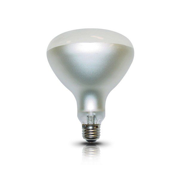 FOCO LÁMPARA ALBERCA 300R40/FL 12V