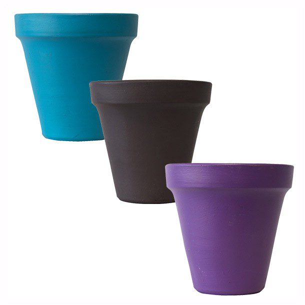 PAQUETE CON 3 CITRONELAS