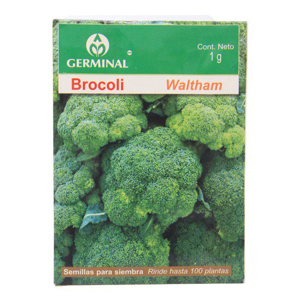 SEMILLAS DE BROCOLI WALTHAM 212