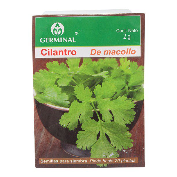 SEMILLA CILANTRO DE MACOLLO 201