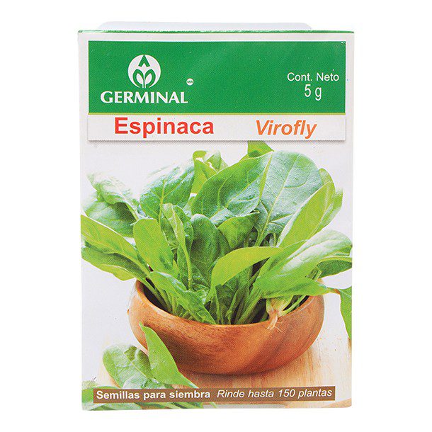 SEMILLA ESPINACA VIROFLY 203