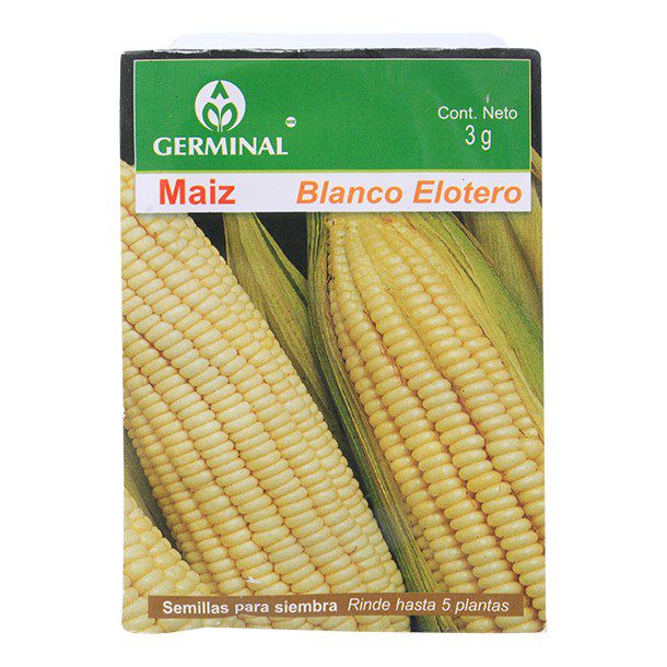 SEMILLA MAIZ 226