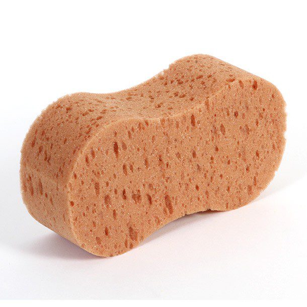 ESPÓNJA ANATOMICA AUTOBELLA