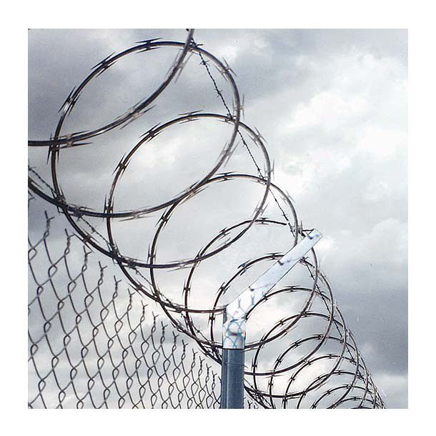 CONCERTINA GALVANIZADA 8 M