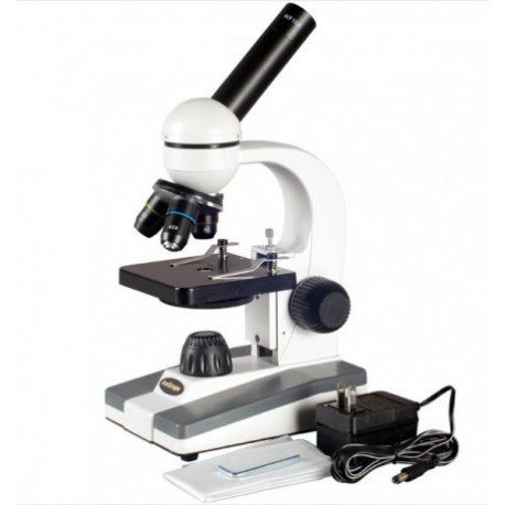 MICROSCOPIO BIOLÓGICO COMPUESTO, 40X-800X - AMSCOPE