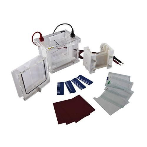 Cámara de electroforesis Mini-protean. Modelo CS-SCZ4