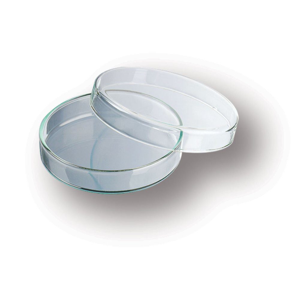 Caja Petri de vidrio DURAN
