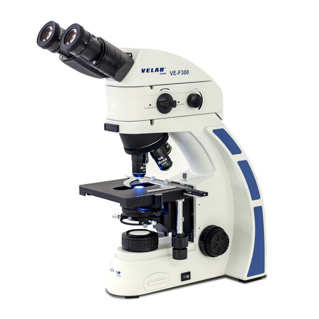 Microscopio de epifluorescencia. Modelo VE-F300