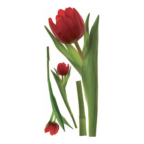 STICKER GRANDE FLORES 137.1X41.9 CM ROOM MATES